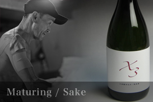 Aged sake, sake